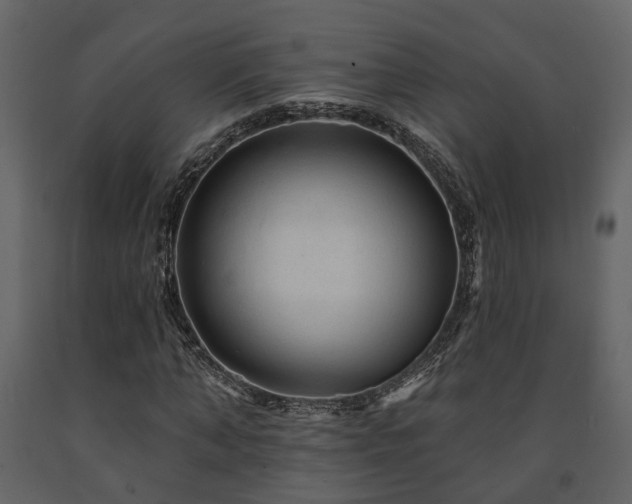 X0000091690870200708231438