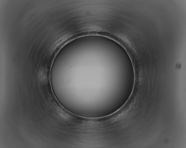 X0000091690873200708231438