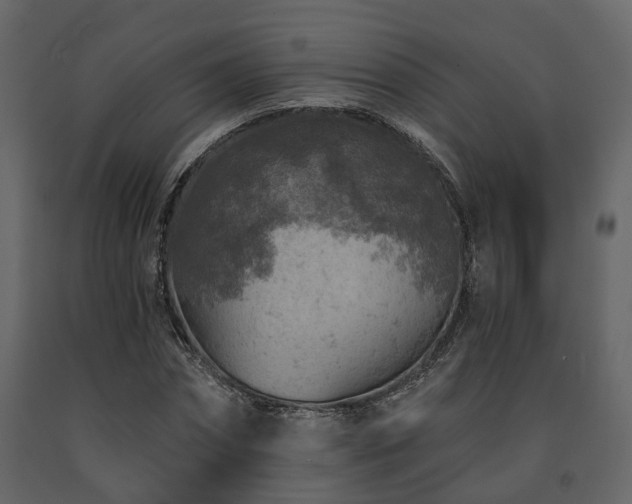 X0000091690874200708231438