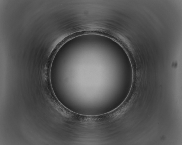 X0000091690875200708231438