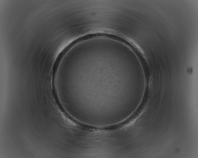 X0000091690877200708231438