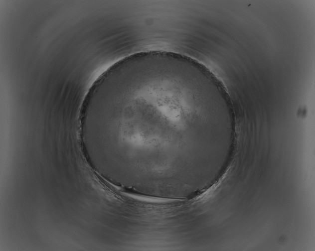 X0000091690879200708231438