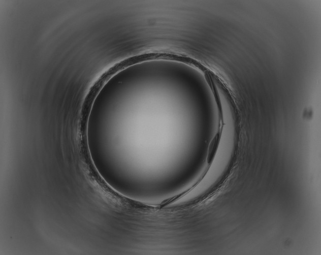 X0000091690880200708231438