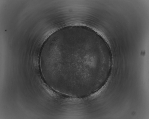 X0000091690881200708231438
