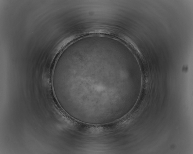 X0000091690882200708231438