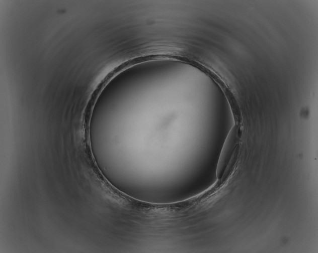 X0000091690883200708231438