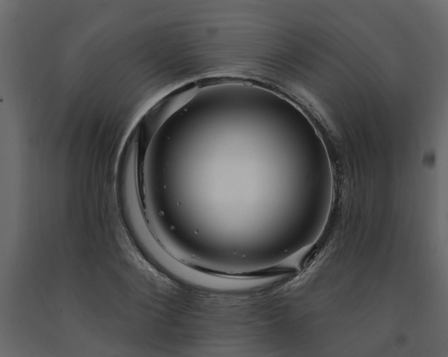 X0000091690884200708231438