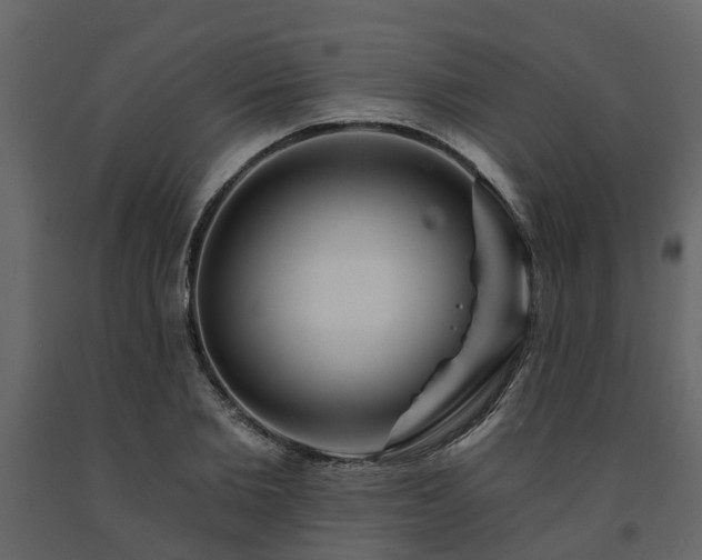 X0000091690885200708231438