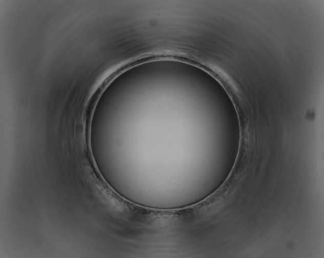 X0000091690886200708231438
