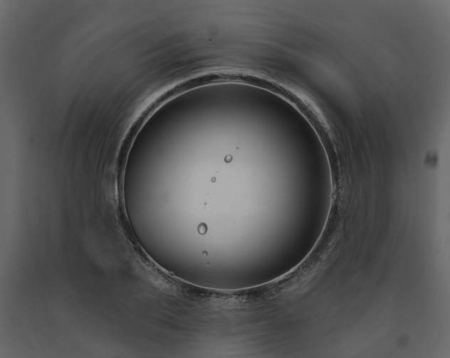 X0000091690887200708231438