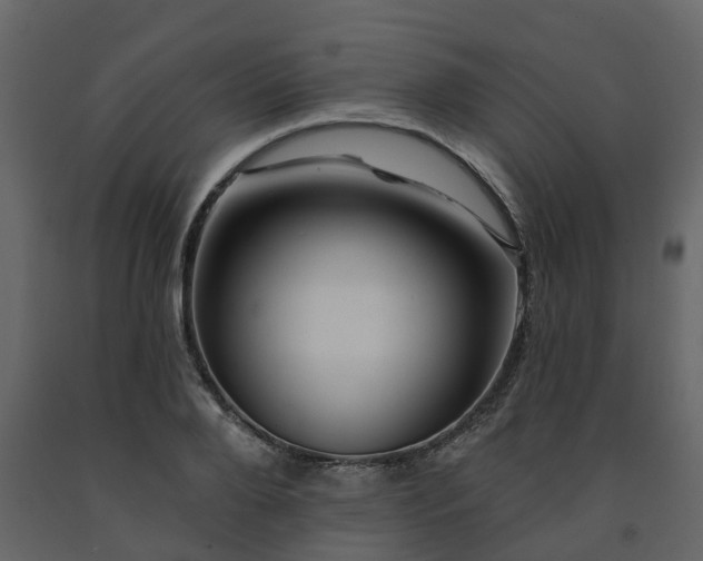 X0000091690888200708231437
