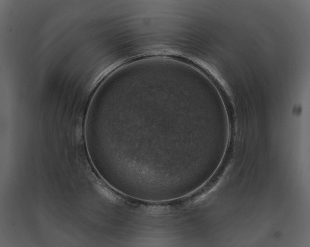 X0000091690889200708231437