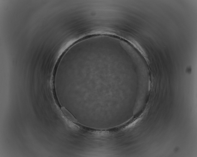 X0000091690893200708231437