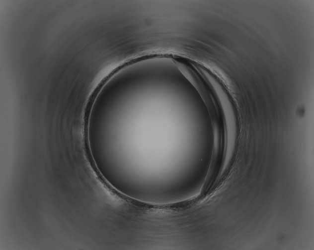X0000091690894200708231437