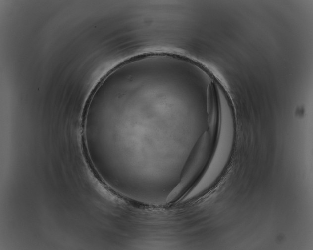X0000091690895200708231437
