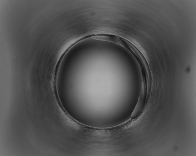 X0000091690901200708231437