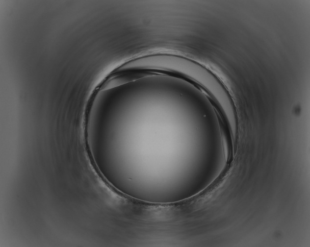 X0000091690902200708231437