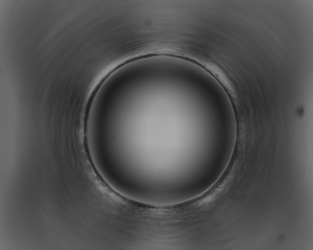 X0000091690904200708231437