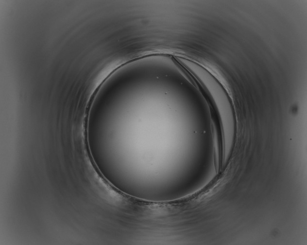 X0000091690906200708231437