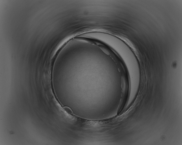 X0000091690910200708231437