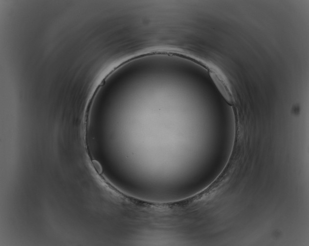 X0000091690911200708231437