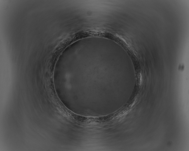 X0000091690913200708231436