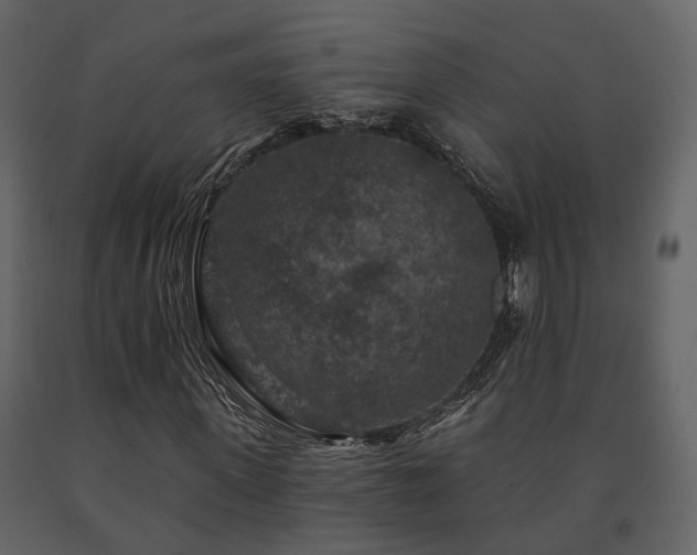 X0000091690915200708231437