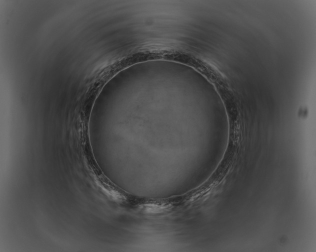 X0000091690917200708231437