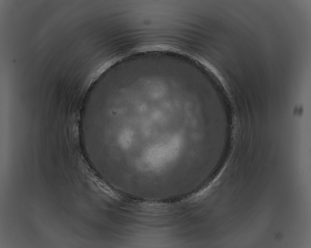 X0000091690921200708231437