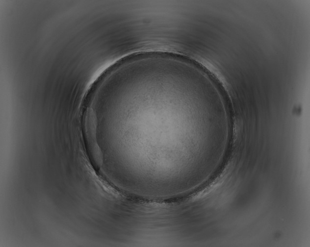 X0000091690925200708231437