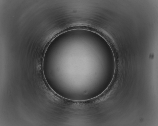 X0000091690929200708231437