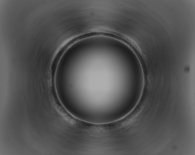 X0000091690931200708231437