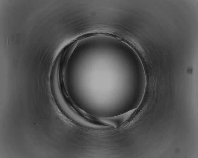 X0000091690936200708231437