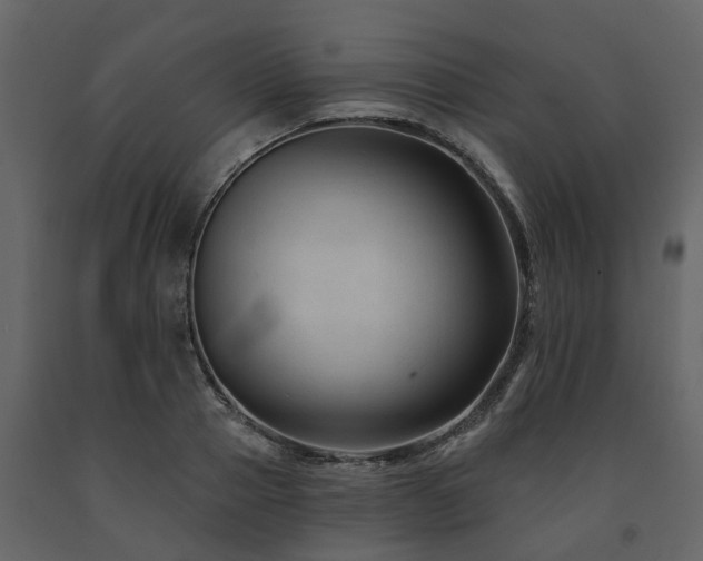 X0000091690937200708231437