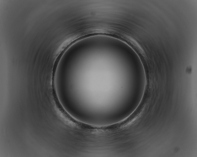 X0000091690938200708231437