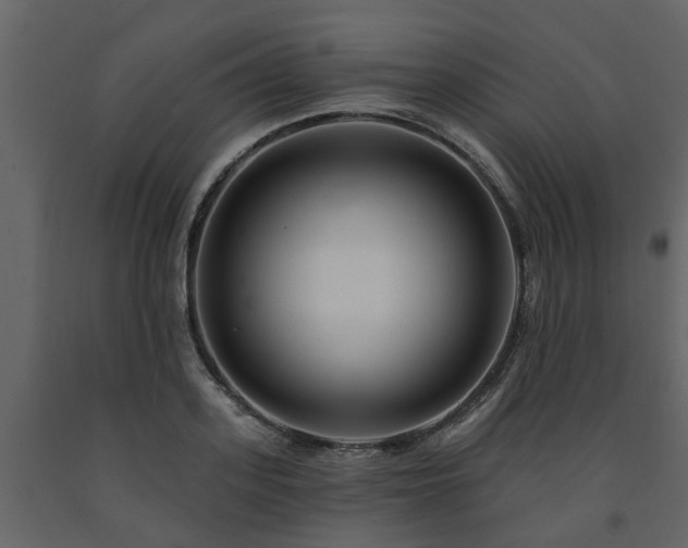 X0000091690939200708231437