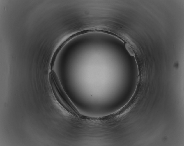 X0000091690940200708231437