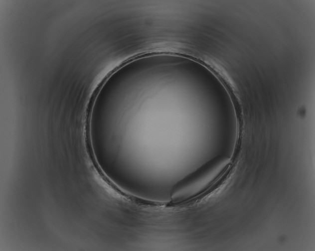 X0000091690941200708231437
