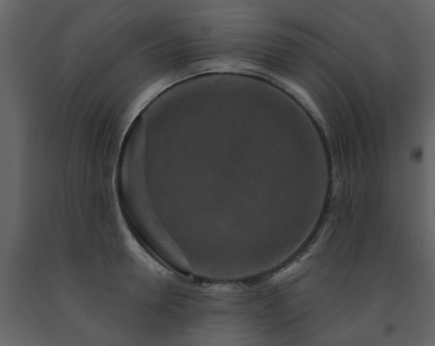 X0000091690946200708231437