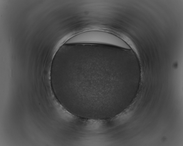 X0000091690954200708231437