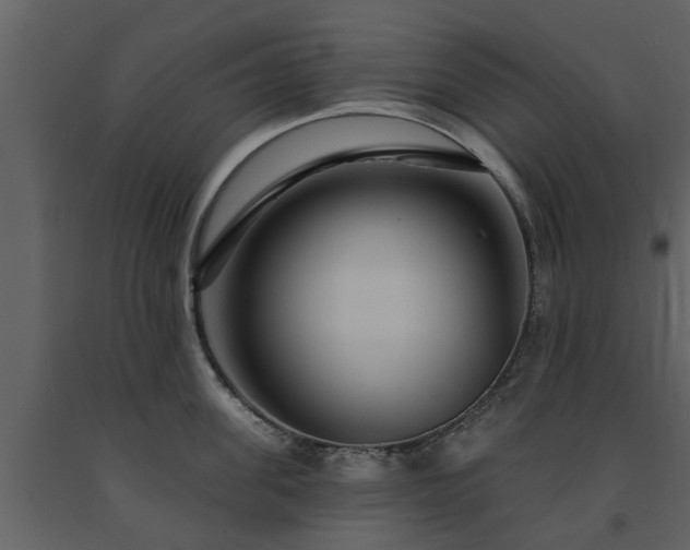 X0000091690955200708231437