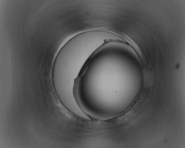 X0000091690956200708231437