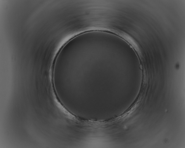 X0000091690958200708231437