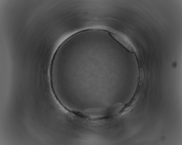 X0000091690959200708231437