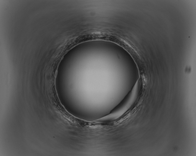 X0000091690961200708231436