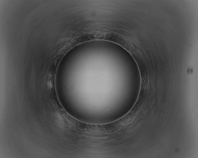 X0000091690962200708231436