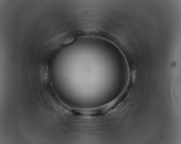 X0000091690963200708231436
