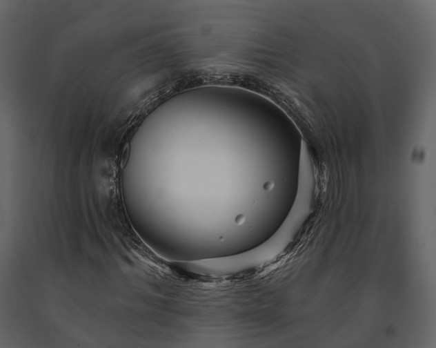 X0000091690964200708231436