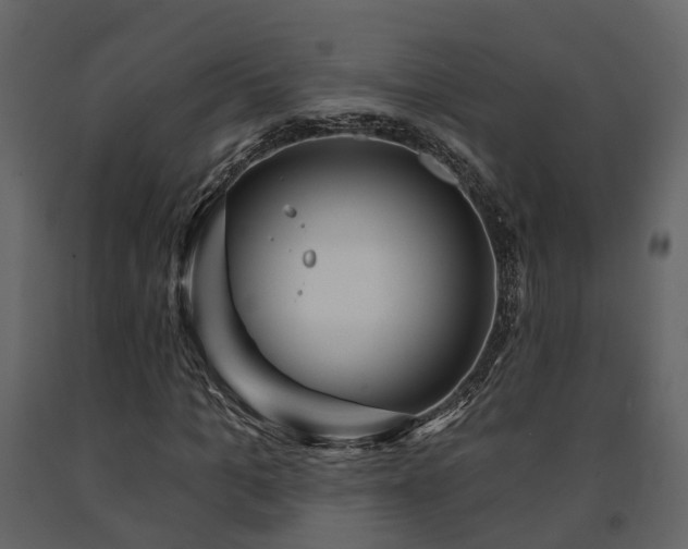 X0000091690965200708231436