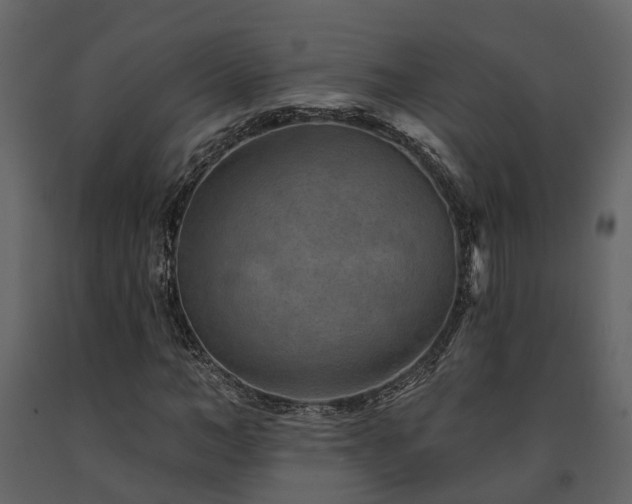 X0000091690966200708231436